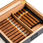 Cedar Wood Humidor with Digital Display